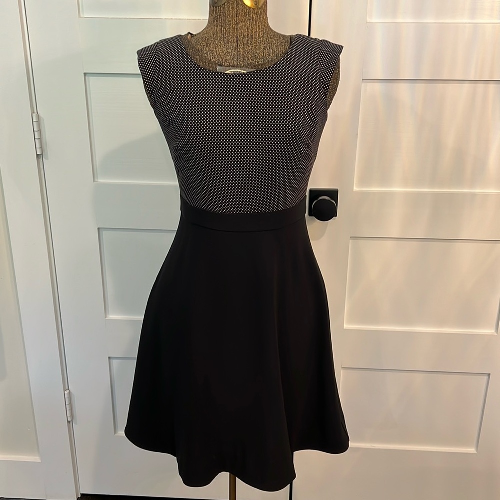 J. Crew PolkaDot Dress NWOT 0P